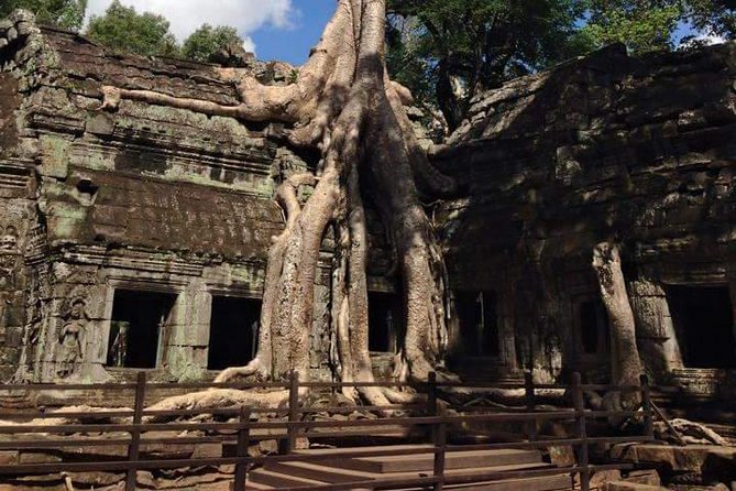Half-Day Ta Prohm and Banteay Kdei Tour - Ta Prohm: roots, moss, and the Tomb Raider tree you’ll spot fast