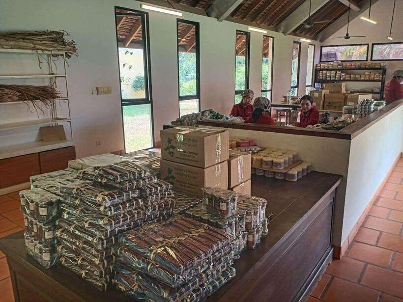 Half Day Trip: Silk Farm, Satcha, and Senteur d'Angkor Tour - From Krong Siem Reap To Silk Farm: Why the Timing Works