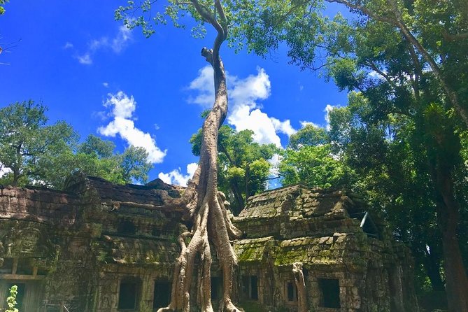 Highlight of Angkor Complex 2 Days Private Tour - Day 2: from Banteay Srei’s carvings to Preah Khan’s 12th-century focus