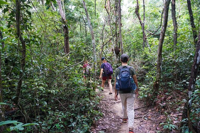 Jungle Trekking Tour at Phnom Kulen National Park from Siem Reap - Getting from Siem Reap to the mountain start without stress
