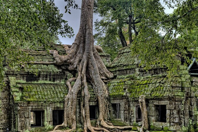 "Killing Fields & Landmine Museum: Private Guided Tour - Value check: Is $190.98 per person fair for this route?