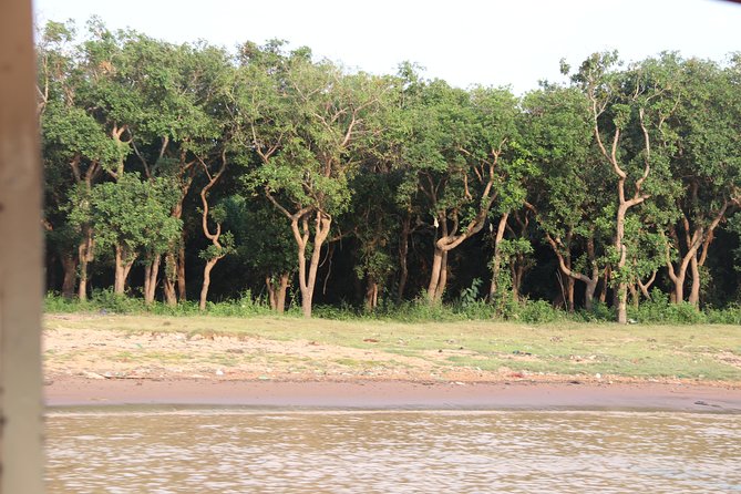 Kompong Phluk Half-Day Tour from Siem Reap - Group size, comfort, and what to bring for a hot day