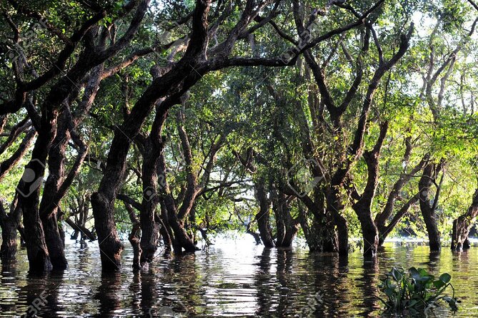 Kompong Phluk Village Tonle Sap Lake Half-Day Tour From Siem Reap - Kompong Phluk village on stilts: why 12 meters matters