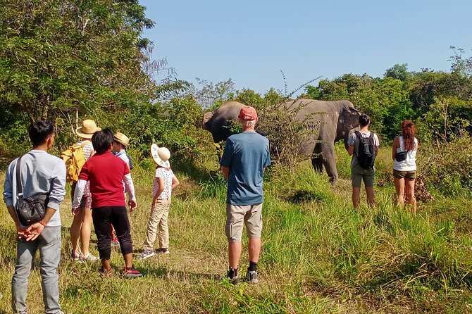 Kulen Elephant Forest and Tonle Sap Lake by Private Tour - Kulen Elephant Forest + Tonle Sap: Why This Private Combo Works