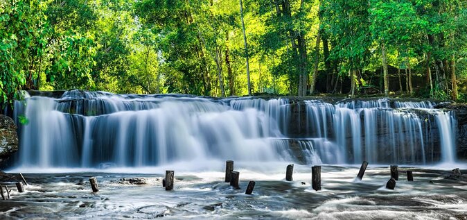 Kulen Elephant Forest by private tour - Key highlights you shouldn’t skip