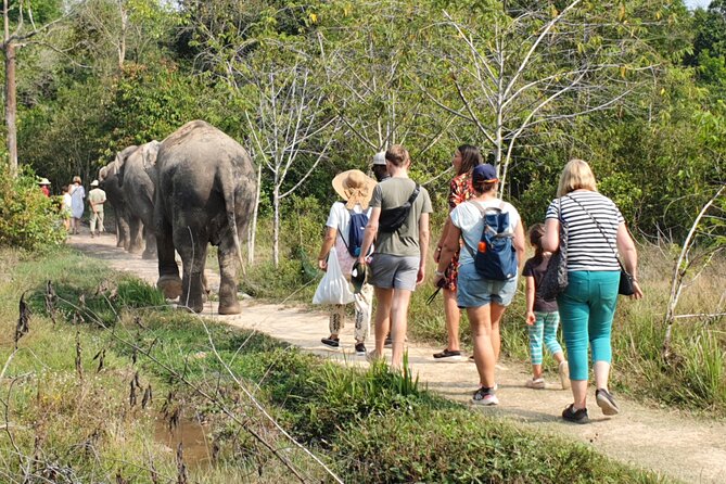 Kulen Elephant Forest by private tour - Transport, guides, and why “private” changes the feel