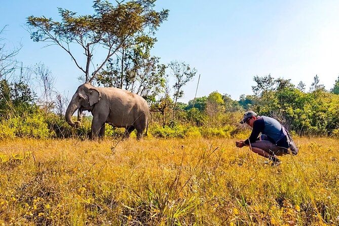 Kulen Elephant Forest by private tour - What to bring and how to plan for comfort