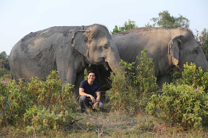 Kulen Elephant Forest & Kampong Phluk by Private Tour - How the day flows: Kulen first, then Kompong Phluk