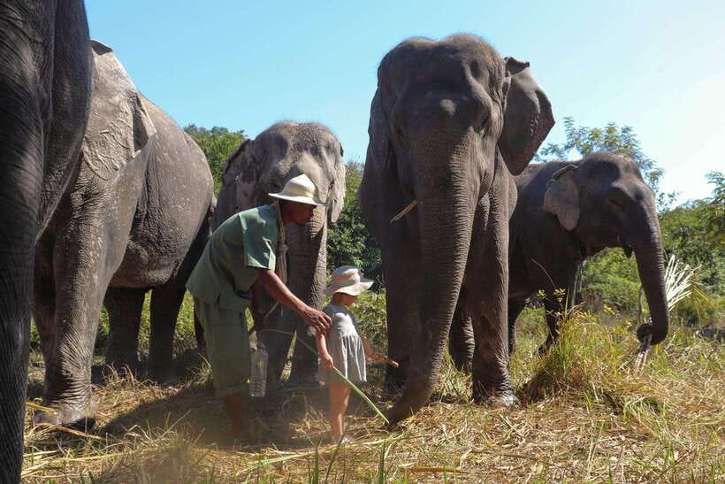 Kulen Elephant Forest Siem Reap in Small Group - Khmer lunch at base camp: a slower pause before heading back