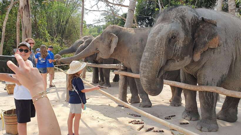 Kulen Elephant Forest & Tonlesap Lake - Kulen Elephant Forest: Why This Elephant Stop Feels More Respectful
