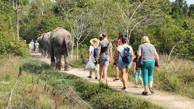 Kulen Elephant Forest & Tonlesap Lake - Canoes, Boat Trips, and Floating-Forest Time: What’s Included by Tour Type