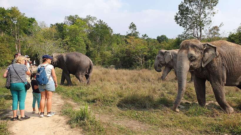Kulen Elephant Forest & Tonlesap Lake - The 2-Kilometer Guided Trek: Jungle, Waterfalls, and Wildlife Clues