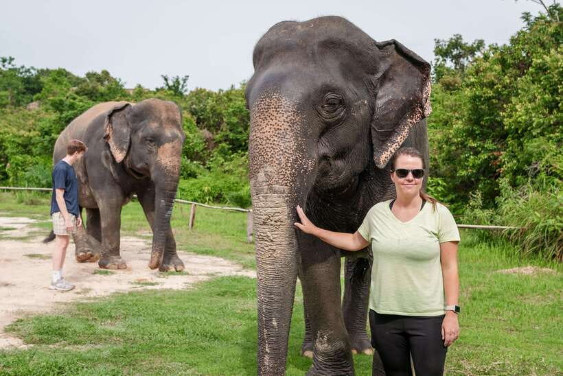 Kulen Elephant Forest Tour with Hotel Pick-up & Drop off - The 3-hour camp block: photo stop, guided tour, and a forest walk