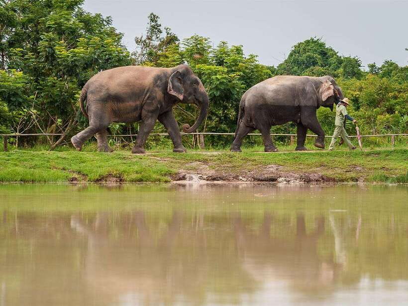 Kulen Elephant Forest Tour with Hotel Pick-up & Drop off - What to bring so you’re comfortable (and not cranky)