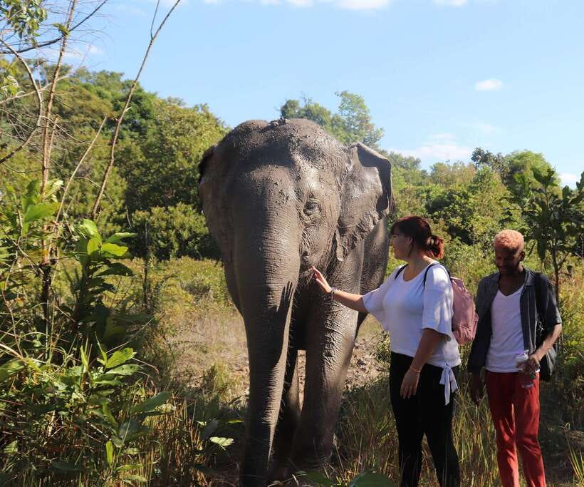 Kulen Mountain Day Trip with Picnic & Kulen Elephant Forest - From Siem Reap to Phnom Kulen: a morning drive through real Cambodia