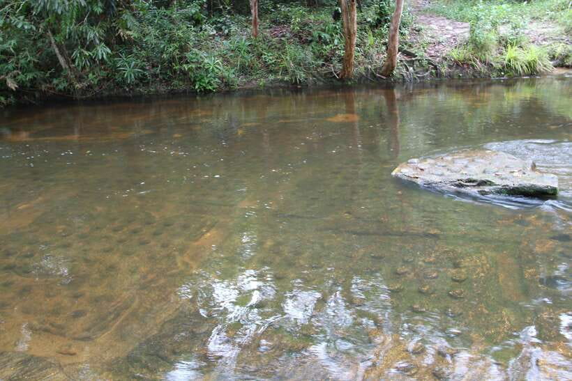Kulen Mountain: Full-Day Private Waterfall Tour - Timing That Works: Morning Out, Around 2:00 PM Back to Your Hotel