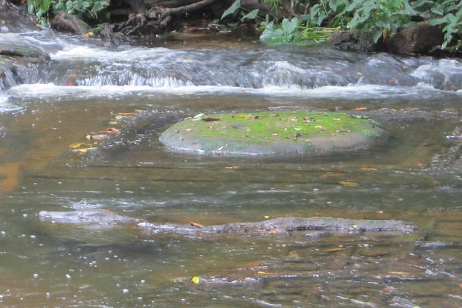 Kulen Mountain, Killing Fields and War Museum Tour - Phnom Kulen National Park: Thousand Lingas Views and Waterfall Time
