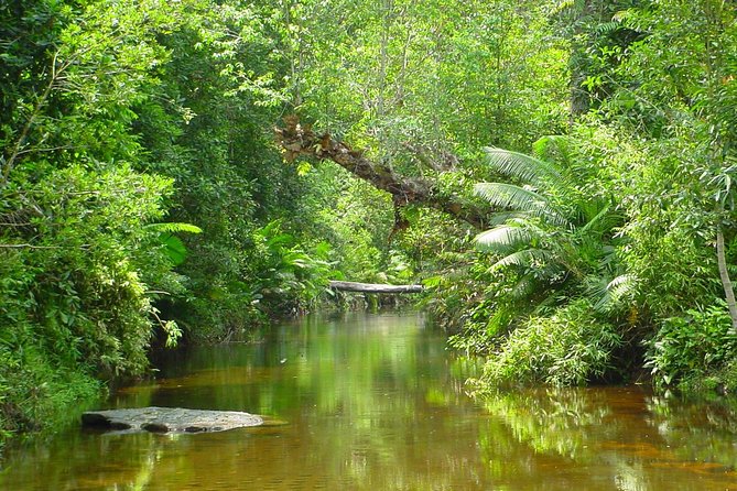 Kulen National Park Ticket - Should you book this Phnom Kulen ticket service?
