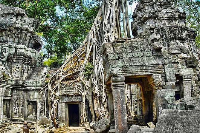 Local French Speaking Guide Angkor Wat Small-Group Tour - Should You Book This Angkor Wat Tour?