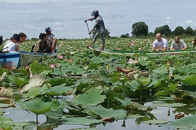 Lotus Silk Farm: Discover Learn and Experiment the Lotus Flower - Why this lotus farm workshop feels more real than a typical “tour”