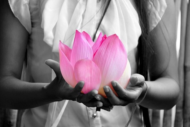 Lotus Silk Farm: Discover Learn and Experiment the Lotus Flower - Meeting up at Lotus Silk Farm: simple logistics, smooth flow
