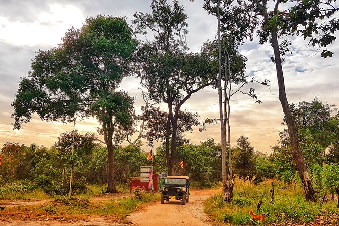 Magical Kulen Mountain by Cambodiajeep - Lunch and snacks: typical Khmer food that keeps the day human