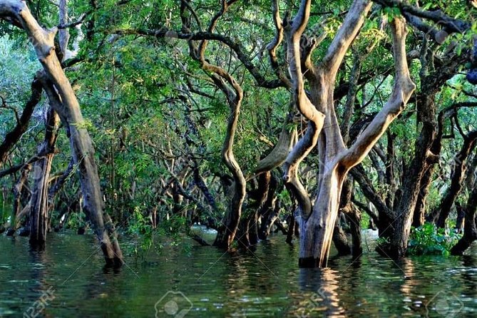Mechrey Floating Village Tour & Mangrove from Siem Reap - The lake cruise: Tonlé Sap’s scale and why it’s UNESCO-worthy