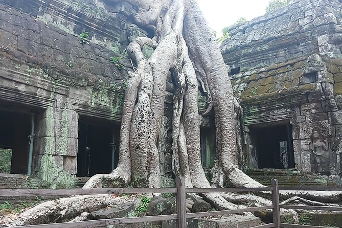 One day Angkor temple tour with private driver - Lunch Break: Local Food While You Reset Between Temple Zones