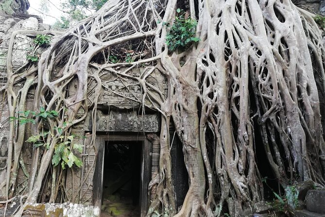 One Day Angkor World Heritage Tour - Ta Prohm: the jungle temple that still feels real
