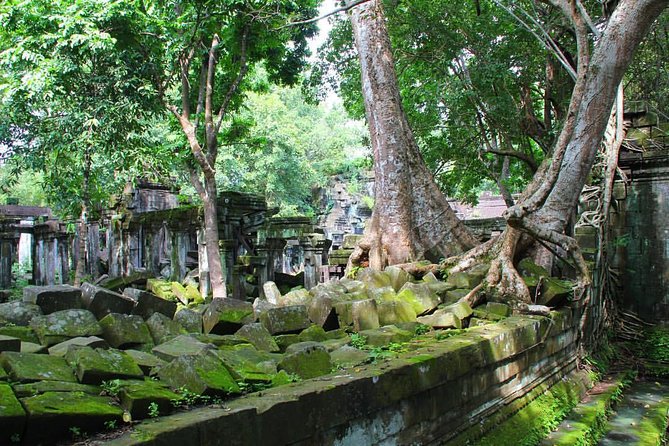 One day normal Angkor tour - Pickup, vehicle comfort, and how to start the day right