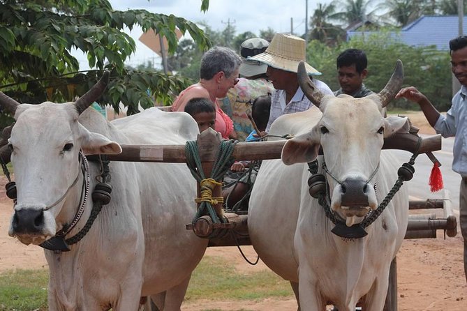 Ox-cart Culture Tour, Countryside Experince in Siem Reap - Key highlights you’ll care about