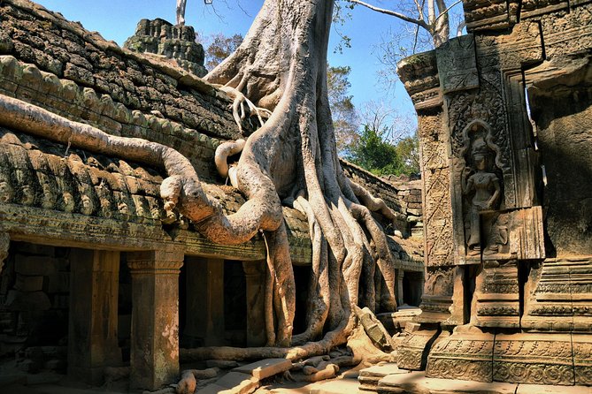 Personalised Angkor Wat Day Tour by an Air-conditioned Car - Ta Prohm After Lunch: The Tomb Raider Look in Real Life