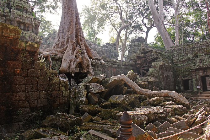 Personalised Angkor Wat Day Tour by an Air-conditioned Car - Who This Tour Fits Best (and When It Might Not)