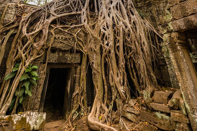Personalised Angkor Wat Day Tour by an Air-conditioned Car - Price Math: $108.98 Per Group vs the $37 Temple Pass