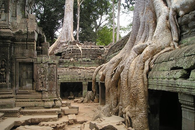 Personalised Angkor Wat Sunrise Tour by an air-conditioned car - Entering Angkor Wat at the right hour, with the right guide