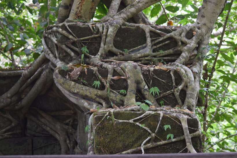 Prasat Thom, Koh Ker Group & Beng Mealea Full-Day Tour - Best-Fit Travelers (and Who Might Want a Different Day)