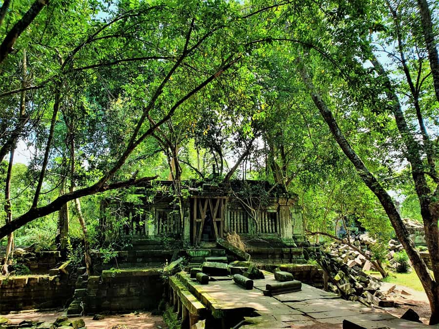 Preah Vihear Temple Koh Ker & BengMealea Tour from Siem Reap - Koh Ker Temple: Short Visit, Strong Atmosphere