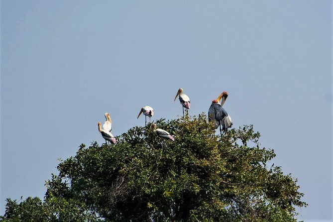 Prek Toal Birds Sanctuary and floating Village Private Day Tour - Your guide and boat team: the small things that add up
