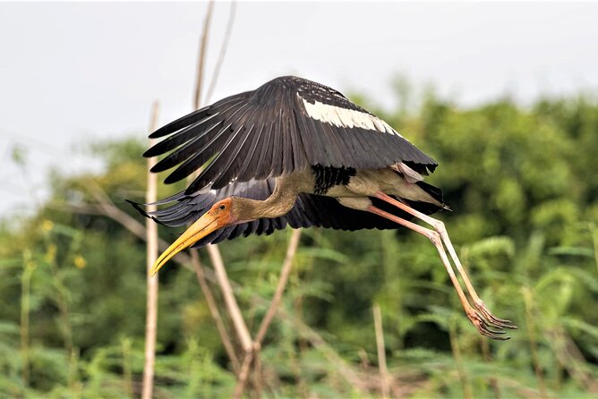 Prek Toal Birds Sanctuary and floating Village Private Day Tour - Pacing and timing: a 7 to 9 hour day without feeling rushed