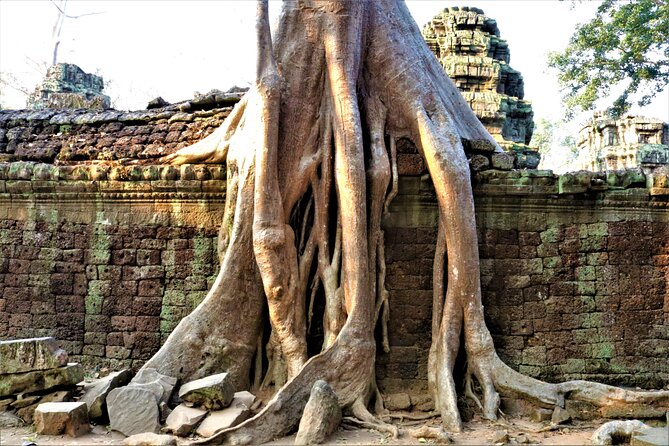 Private Angkor Temples Walking Tour from Siem Reap - Lunch Break and the Heat Reality: How to Make the Day Feel Manageable