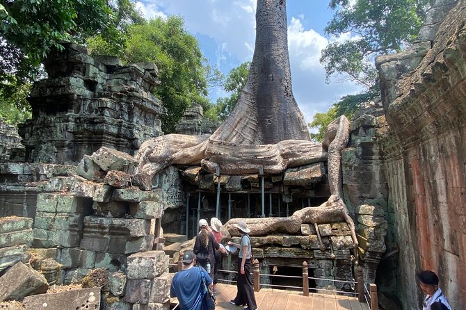 Private Angkor Wat and Lost Temple Jungle Tour - Angkor Thom South Gate: the gateway feeling that sets the mood