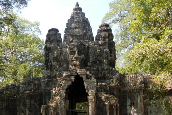 Private Angkor Wat Day Tour - Best of Angkor - Ta Prohm Jungle Temple: where the stones feel swallowed by growth