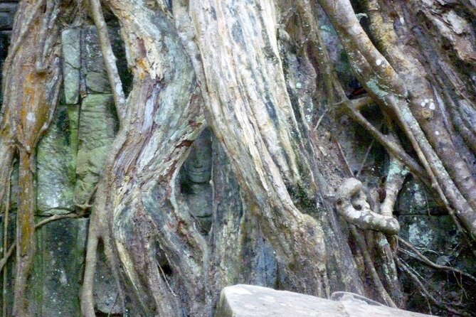 Private Angkor Wat Day Tour - Best of Angkor - Getting the most from the guide: German-language value and pacing