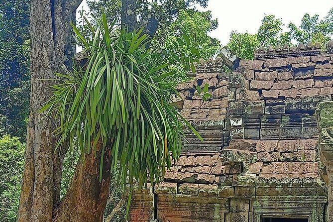 Private Angkor Wat Guided Sunset Tour - Who this private sunset tour suits best