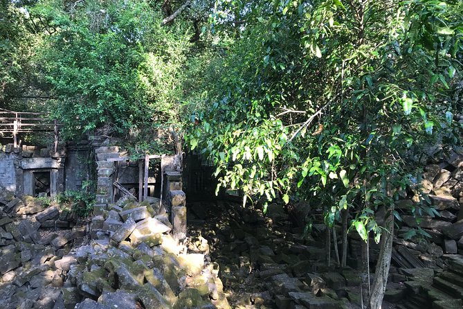 Private Beng Mealea Temple Tour – Hidden Jungle Ruins - Why Beng Mealea Works So Well as a Half-Day Escape