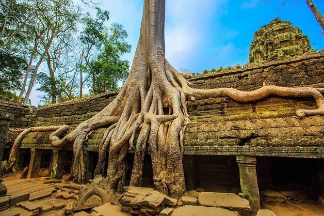 Private Cambodia 5 Days Tour from Siem Reap to Phnom Penh - Day 2: Angkor Thom, Bayon, Ta Prohm, and Angkor Wat in one long day