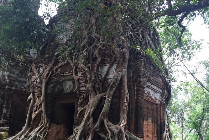 Private Day Tour to Koh Ker Off the Beaten Track - Koh Ker Temple: the 36-meter pyramid and the Lingas shrine