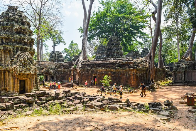 Private Full-Day Angkor Temple and Sunset Viewing with Lunch - Ta Prohm: Where the Trees Do the Acting