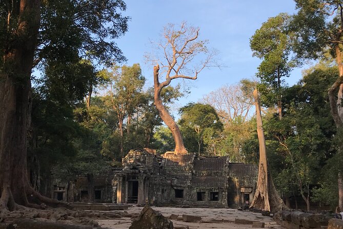 Private Guided Angkor Wat Tour by Lady Tuk Tuk with Monk Blessing - Bayon: the 200 smiling faces problem (solved by pacing)