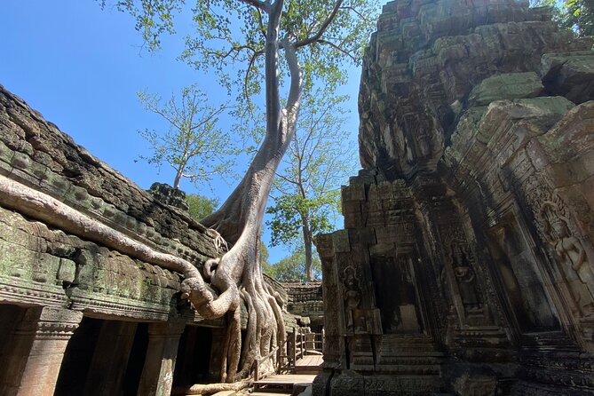 Private Guided Multi-Day Historical Tour in Temples of Cambodia - Ta Prohm: jungle ruins and the Tomb Raider fame